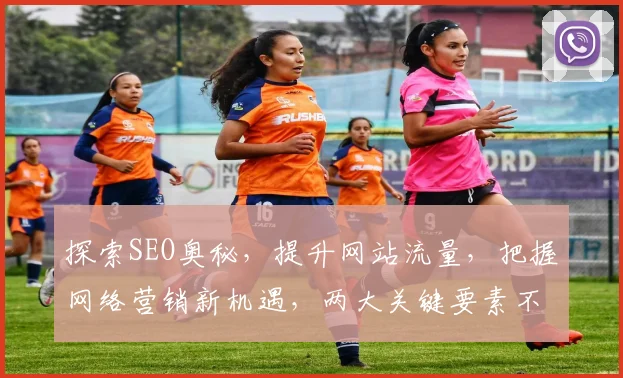 探索SEO奥秘，提升网站流量，把握网络营销新机遇，两大关键要素不容忽视