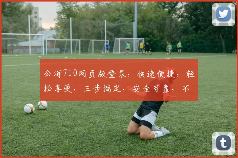 公海710网页版登录，快速便捷，轻松享受，三步搞定，安全可靠，不容错过，体验非凡