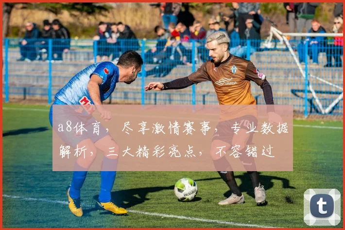 a8体育，尽享激情赛事，专业数据解析，三大精彩亮点，不容错过