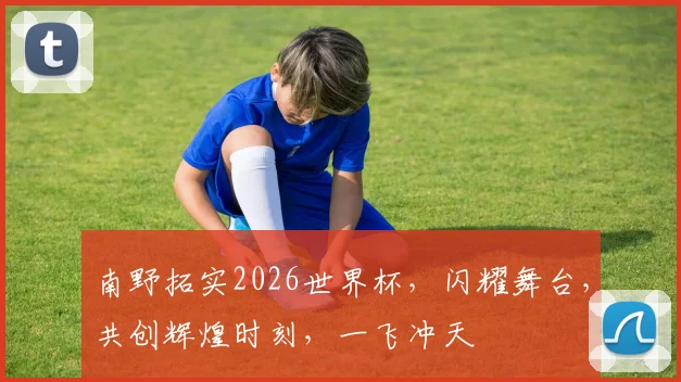 南野拓实2026世界杯，闪耀舞台，共创辉煌时刻，一飞冲天