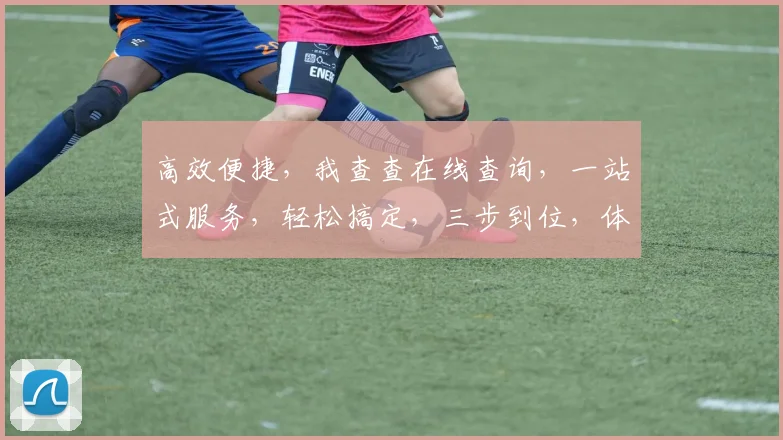 高效便捷，我查查在线查询，一站式服务，轻松搞定，三步到位，体验非凡